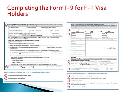 f11 visa category|immigrant visa category f11.
